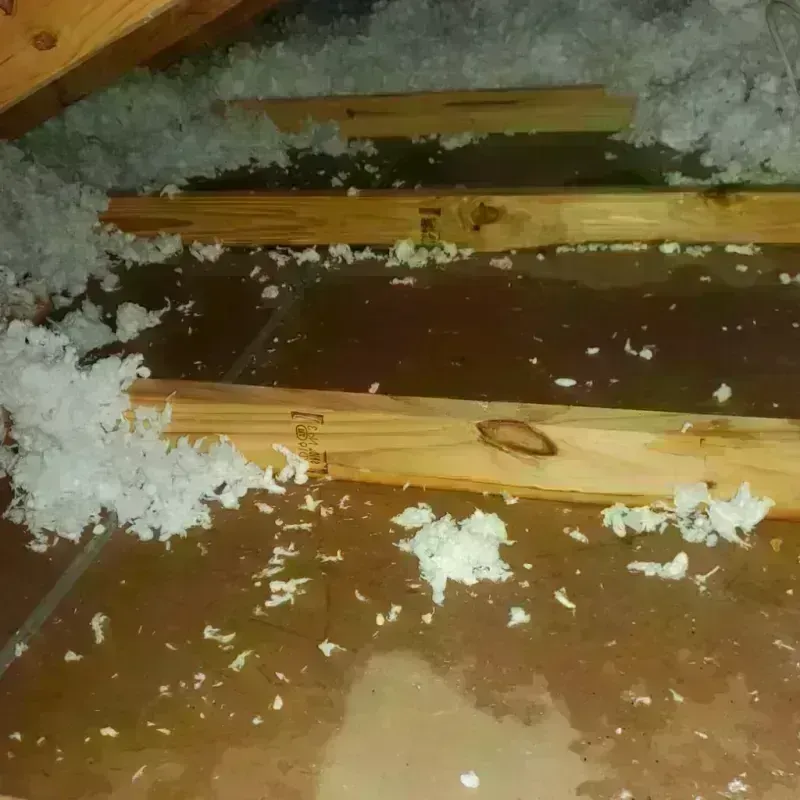 Attic Water Damage in Webster, SD