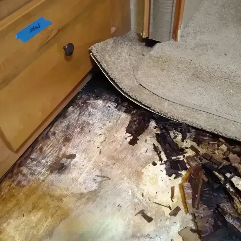 Wood Floor Water Damage in Webster, SD